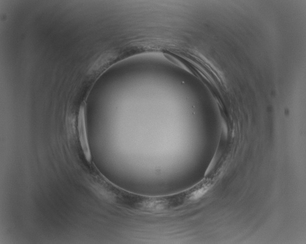 X0000051250117200506171145