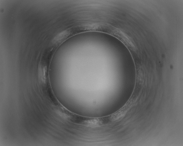 X0000051250118200506171145