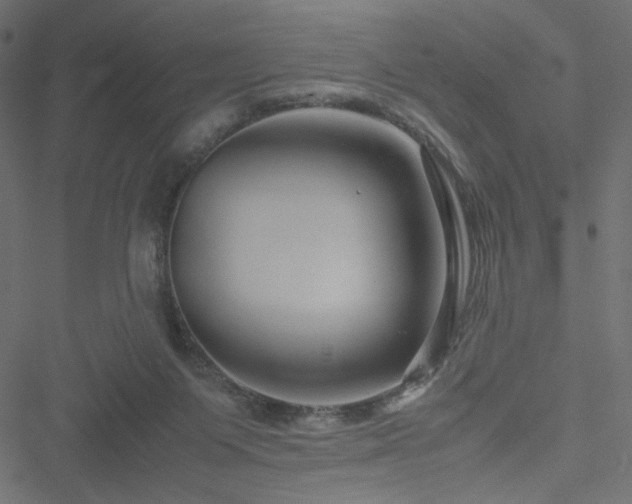 X0000051250119200506171145