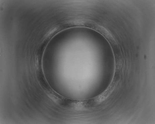 X0000051250120200506171145