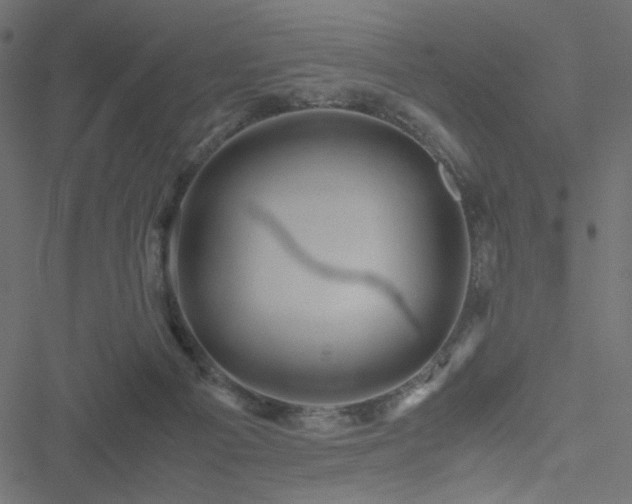 X0000051250121200506171145