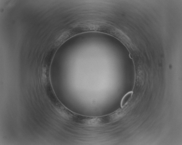 X0000051250122200506171145