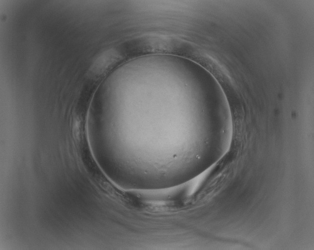 X0000051250123200506171145