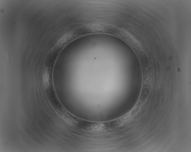 X0000051250124200506171145