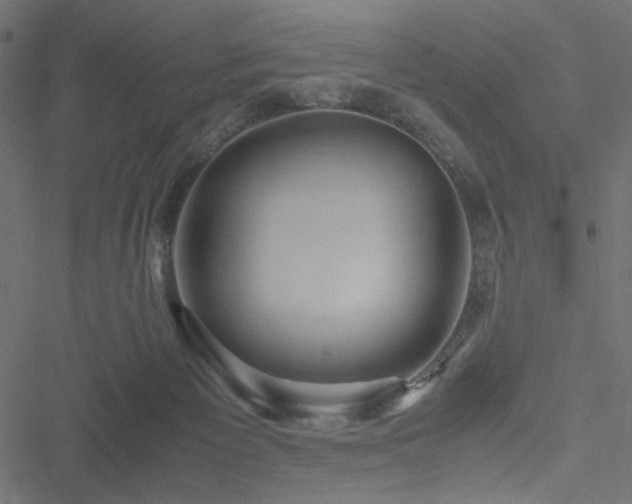 X0000051250125200506171145