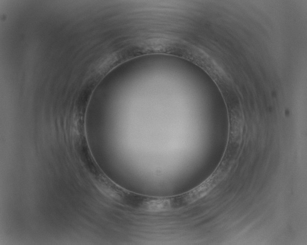 X0000051250126200506171145