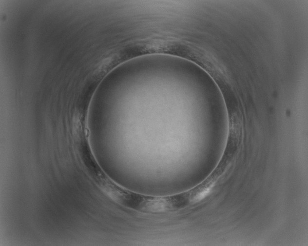 X0000051250127200506171145