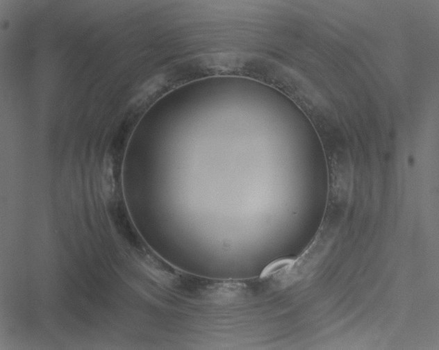 X0000051250128200506171145