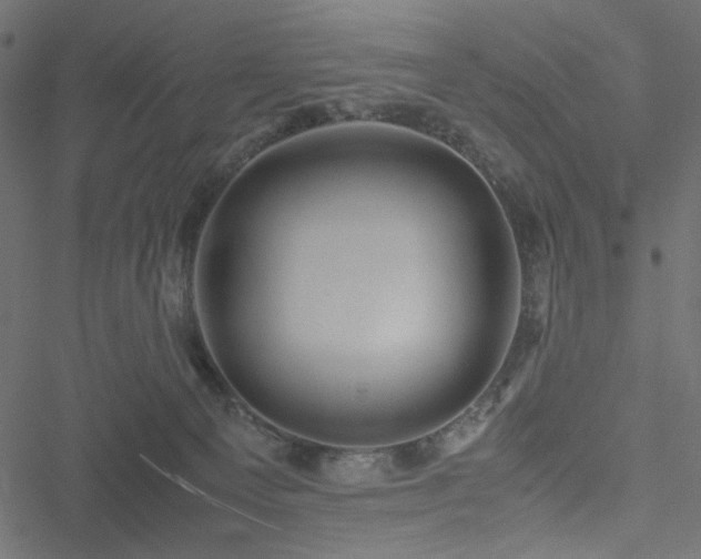 X0000051250129200506171145