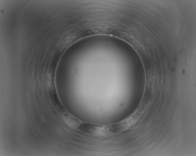 X0000051250130200506171145