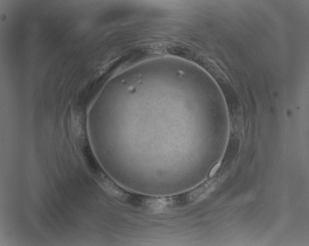 X0000051250131200506171145