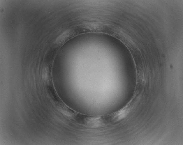 X0000051250132200506171145