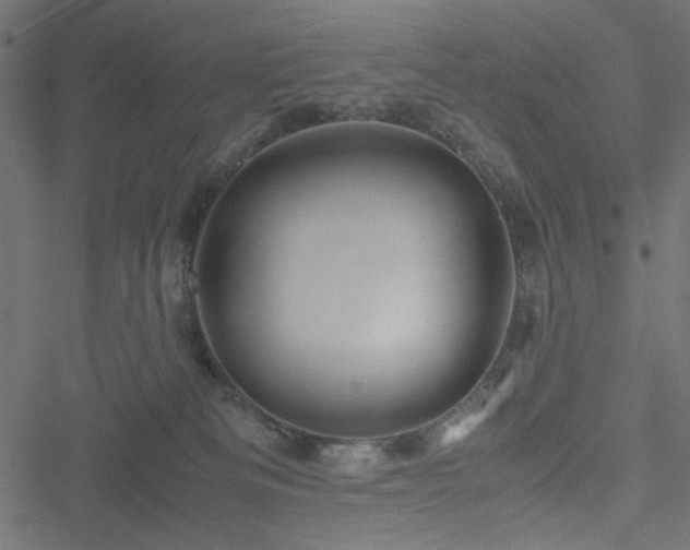 X0000051250133200506171145