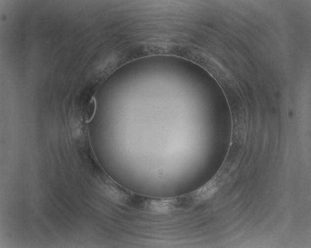 X0000051250134200506171145