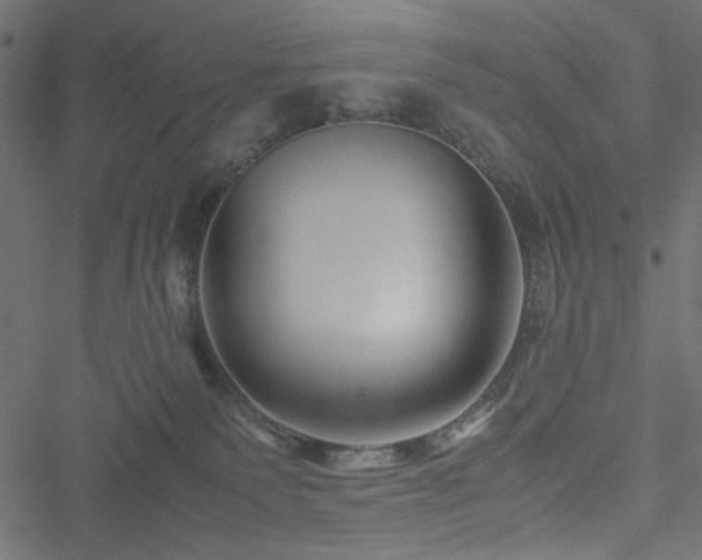 X0000051250135200506171145