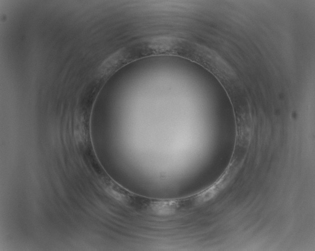 X0000051250136200506171145