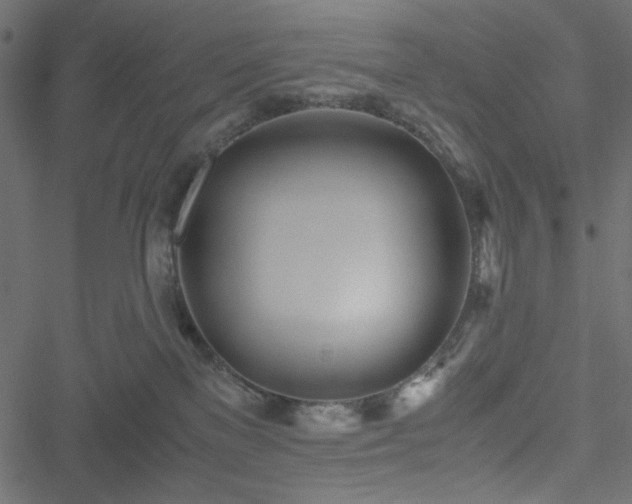 X0000051250137200506171145