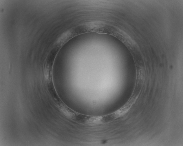 X0000051250138200506171145