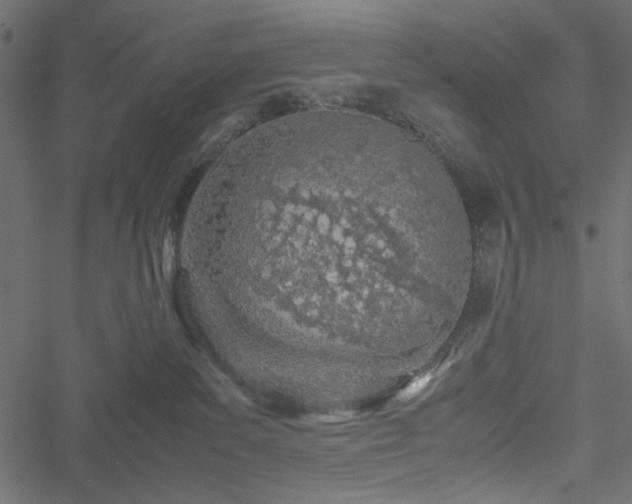 X0000051250139200506171145