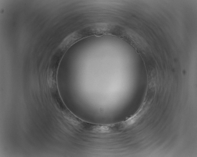 X0000051250140200506171145