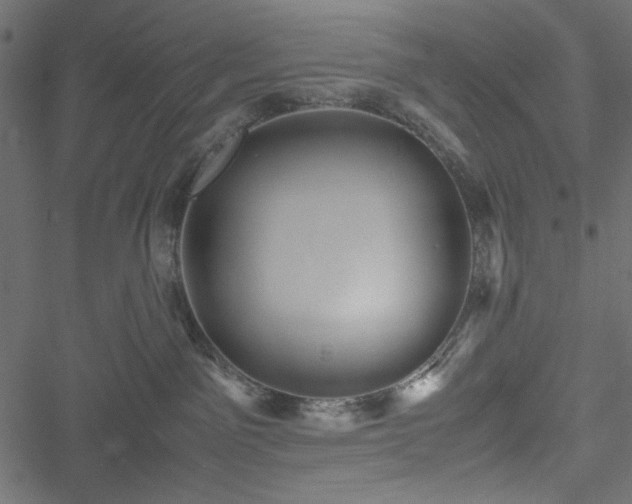 X0000051250141200506171145