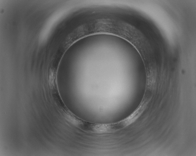 X0000051250142200506171145