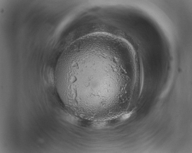 X0000051250143200506171145