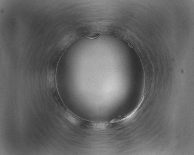 X0000051250144200506171145