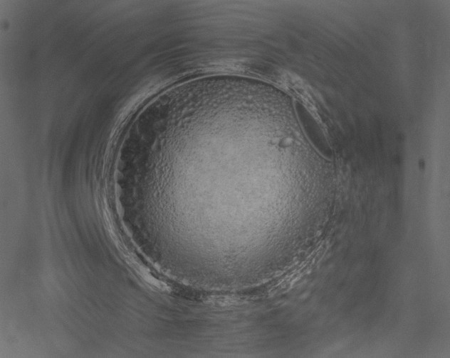 X0000051250145200506171144