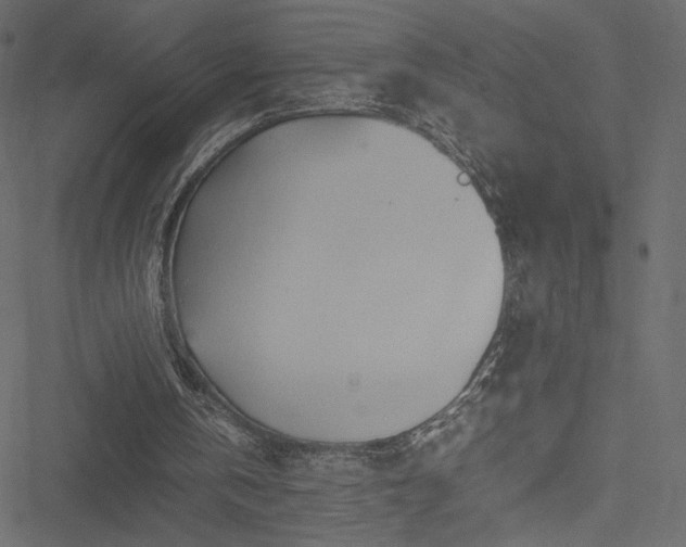 X0000051250146200506171144