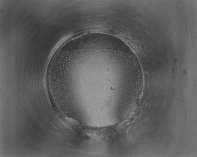 X0000051250147200506171144