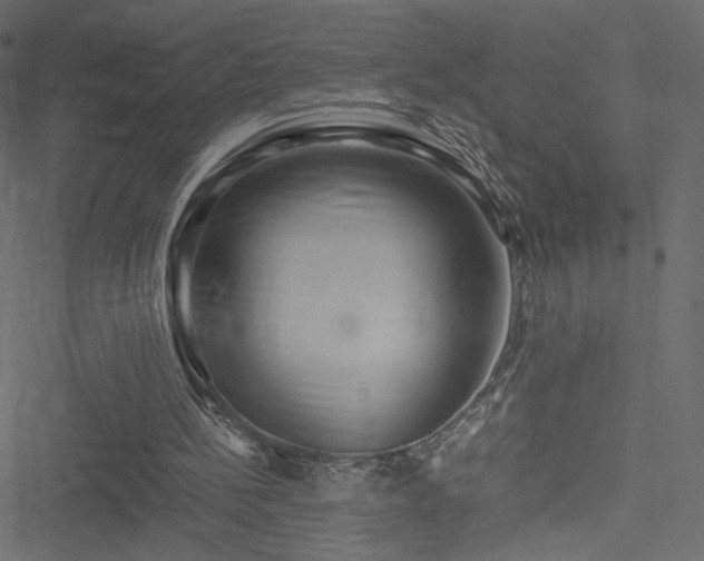 X0000051250148200506171144