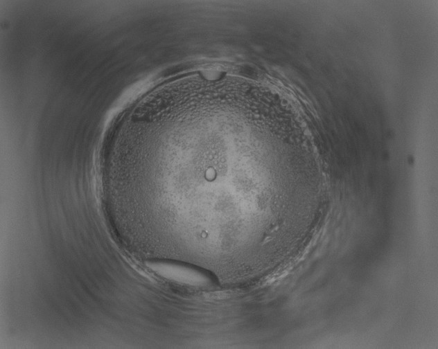 X0000051250149200506171144