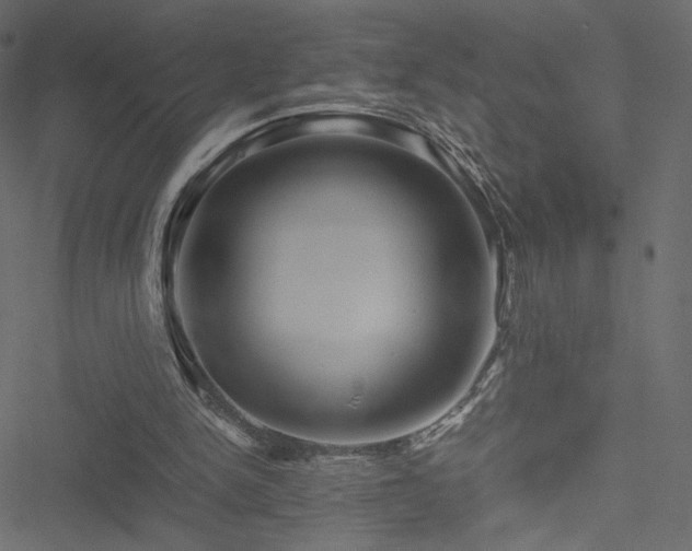 X0000051250150200506171144