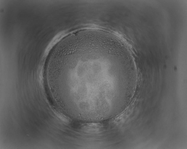 X0000051250151200506171144