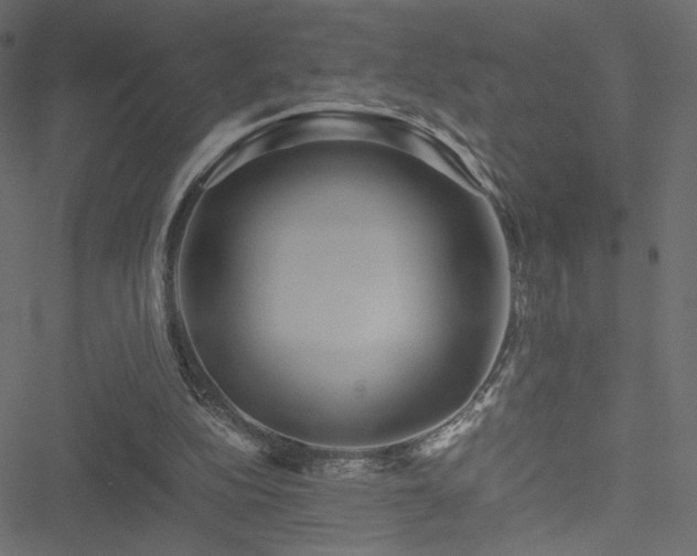 X0000051250152200506171144