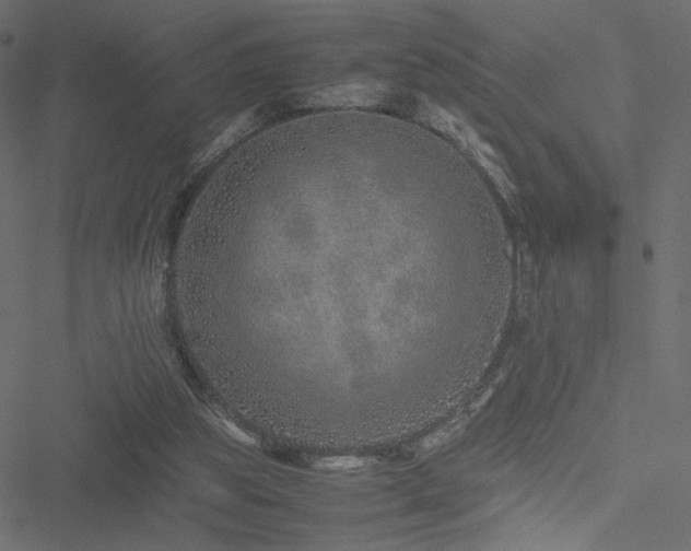 X0000051250153200506171144