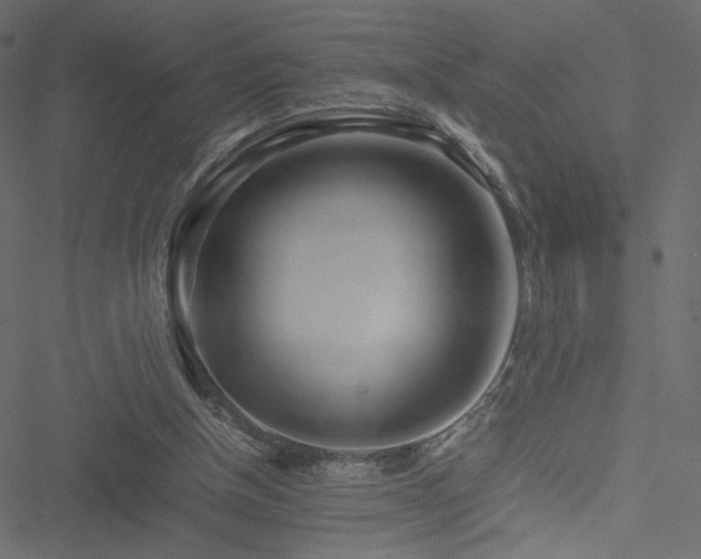 X0000051250154200506171144