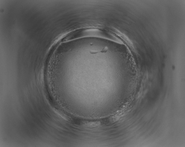 X0000051250155200506171144