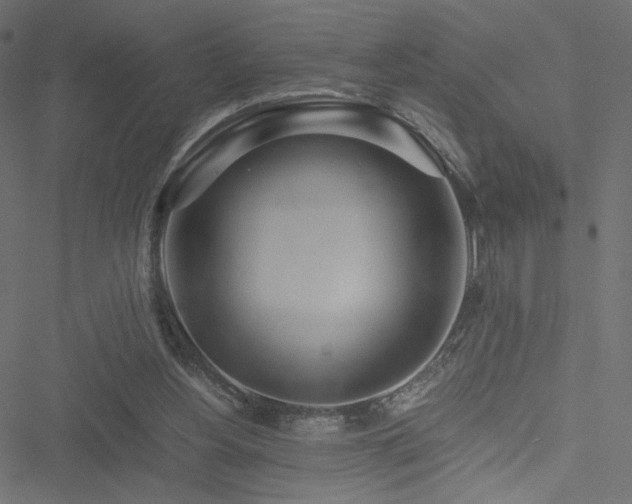 X0000051250156200506171144