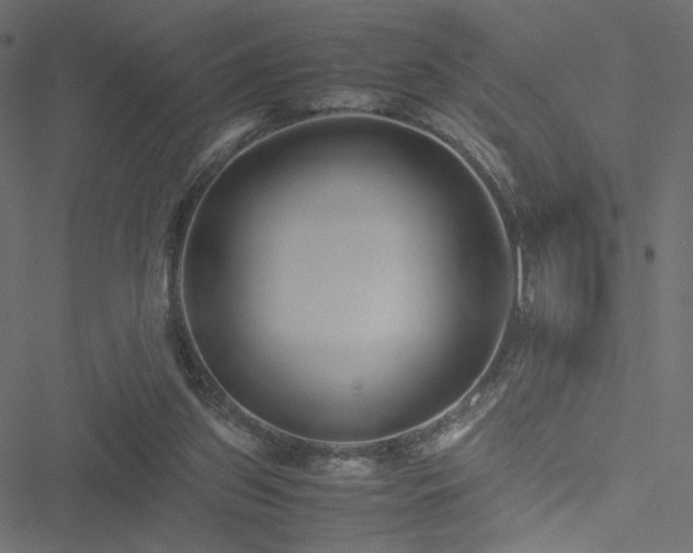 X0000051250157200506171144