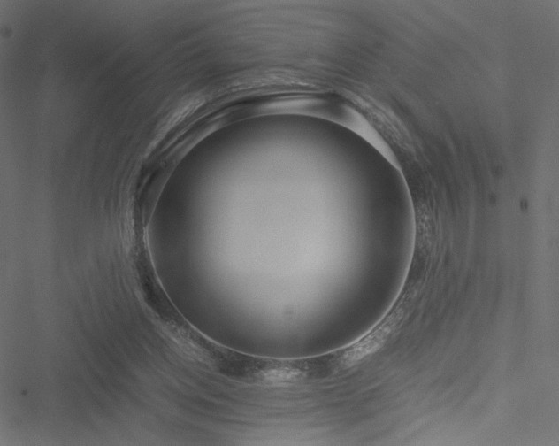 X0000051250158200506171144