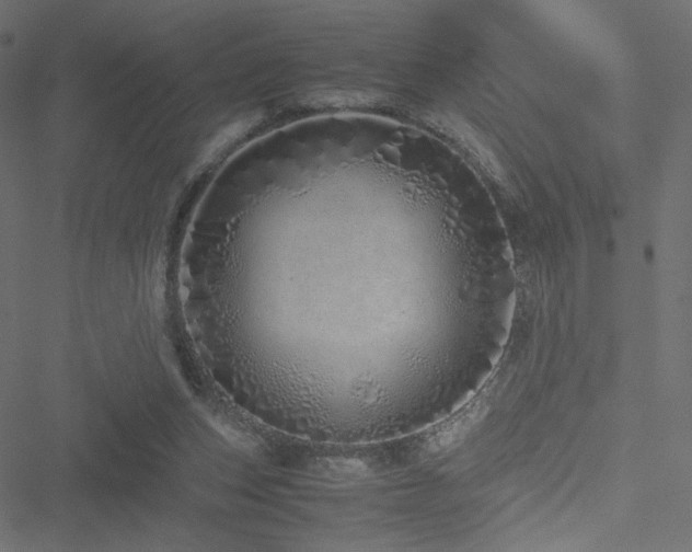 X0000051250159200506171144