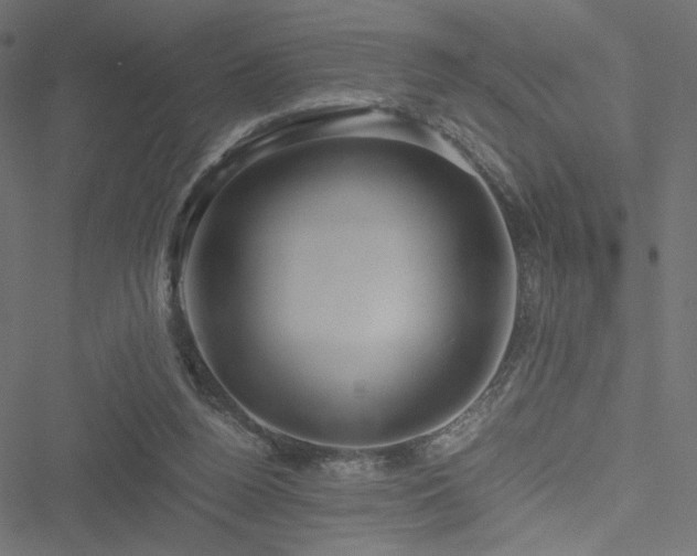 X0000051250160200506171144