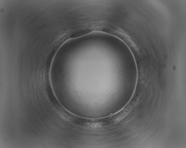 X0000051250161200506171144