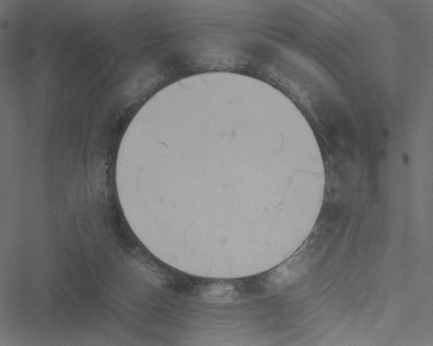 X0000051250162200506171144