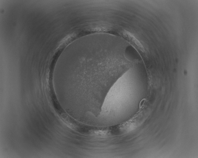 X0000051250163200506171145