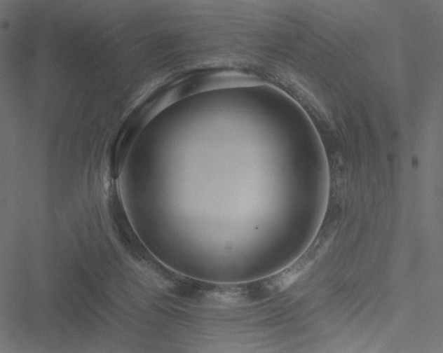 X0000051250164200506171145