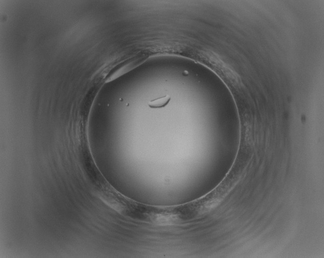 X0000051250165200506171145