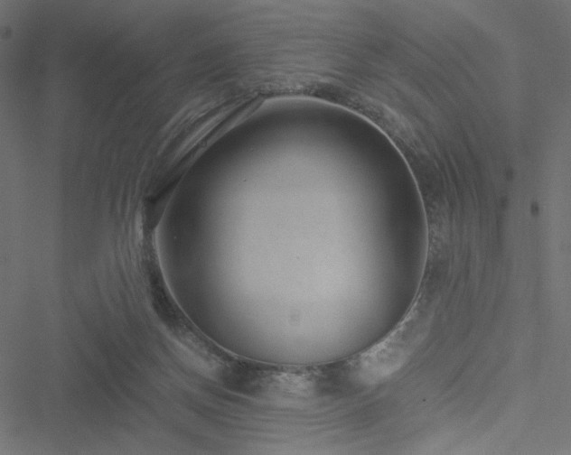 X0000051250166200506171145